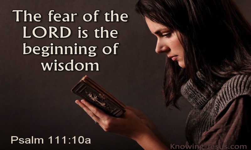 Psalm 111:10 The Fear Of The Lord (brown)